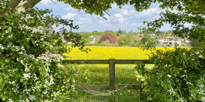 The loss of industrial land in Greater London (1)