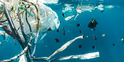 Mid-term evaluation of the Smart Sustainable Plastics Packaging Challenge